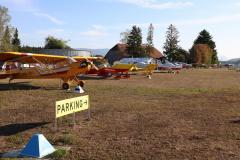 IMGL9129-