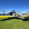 W-11 (SPAD Replica 3/4)
